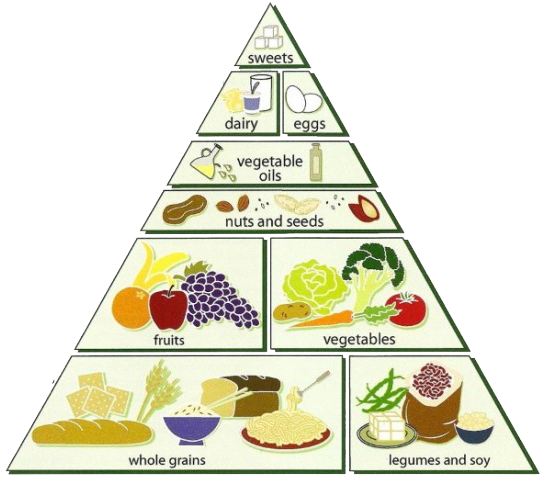 healthy diet for weight loss
